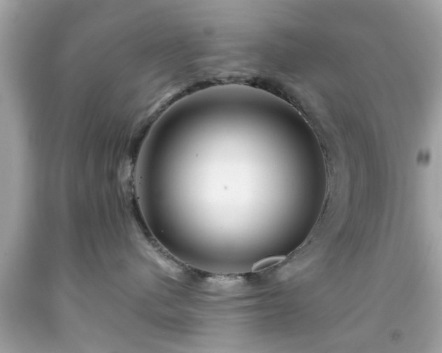 X0000091950480200709131207