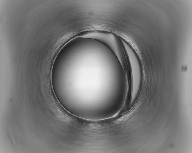 X0000091950481200709131207