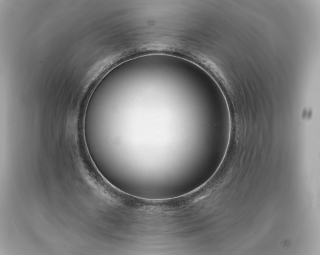 X0000091950482200709131207