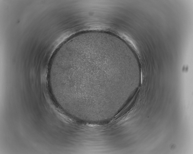 X0000091950483200709131207