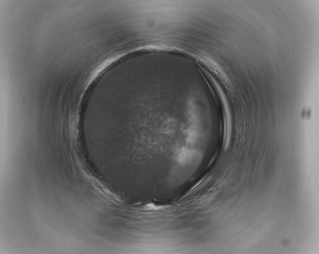 X0000091950484200709131207