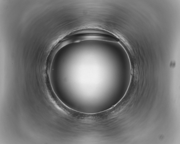 X0000091950485200709131207