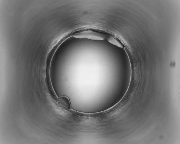 X0000091950486200709131207