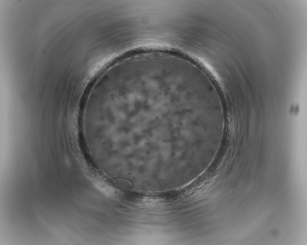 X0000091950487200709131207