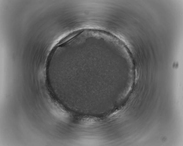 X0000091950488200709131207