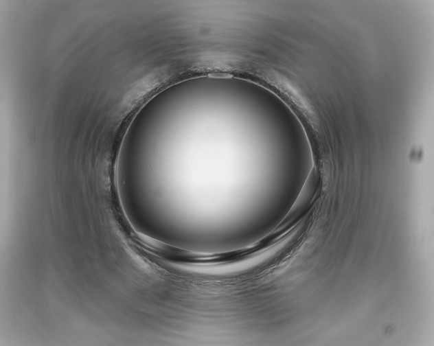 X0000091950489200709131207