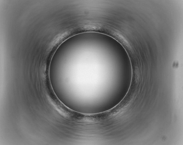 X0000091950490200709131207