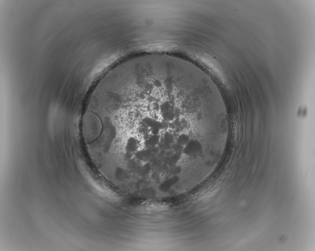 X0000091950491200709131207