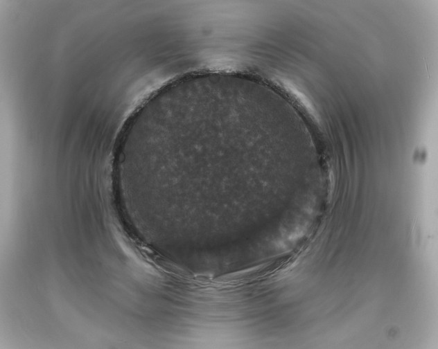 X0000091950492200709131207