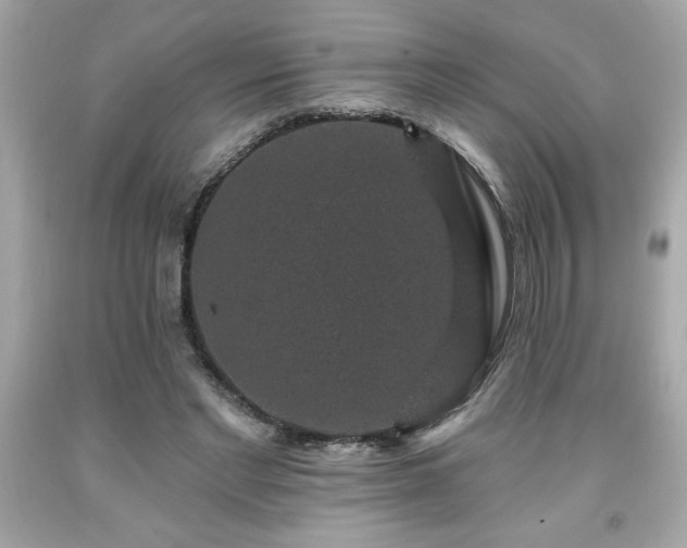 X0000091950493200709131207