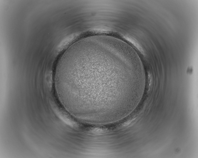 X0000091950494200709131207