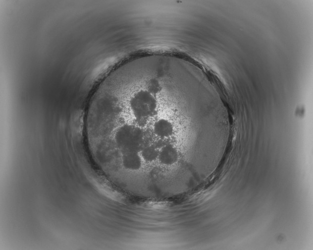 X0000091950495200709131207