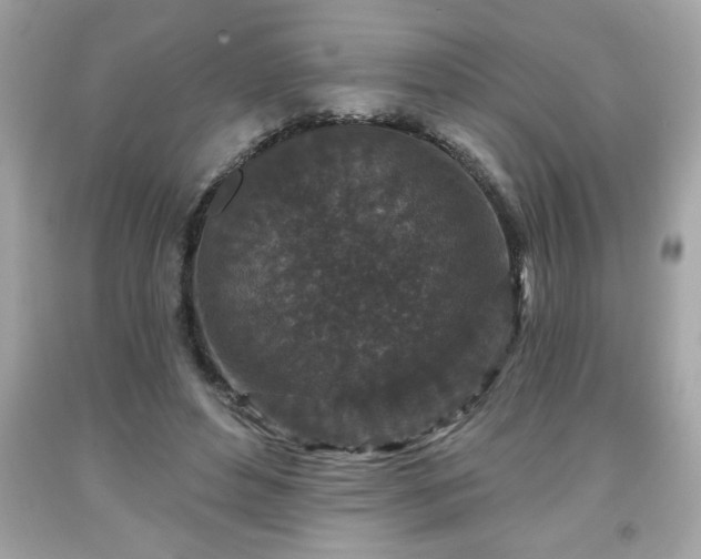 X0000091950496200709131207