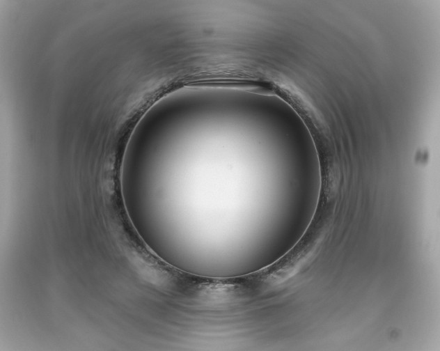 X0000091950497200709131207