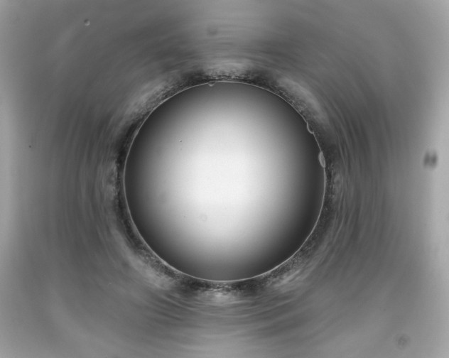 X0000091950498200709131207