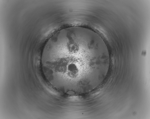 X0000091950499200709131207