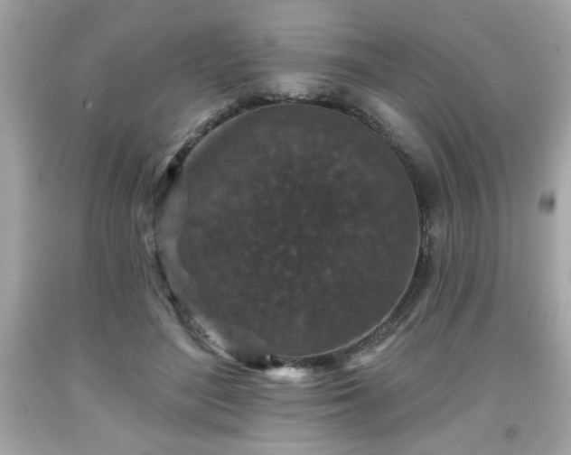 X0000091950500200709131207