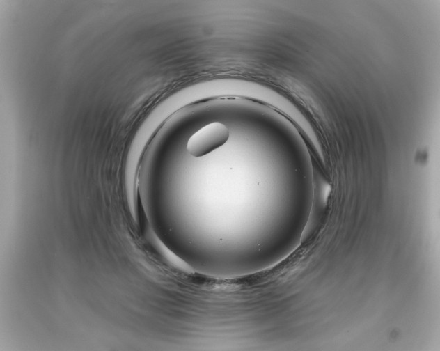 X0000091950501200709131207