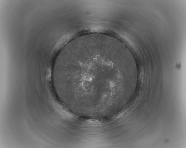 X0000091950502200709131207