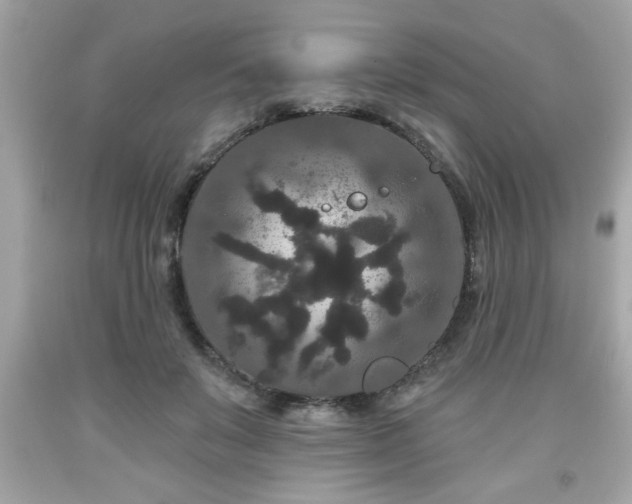 X0000091950503200709131207