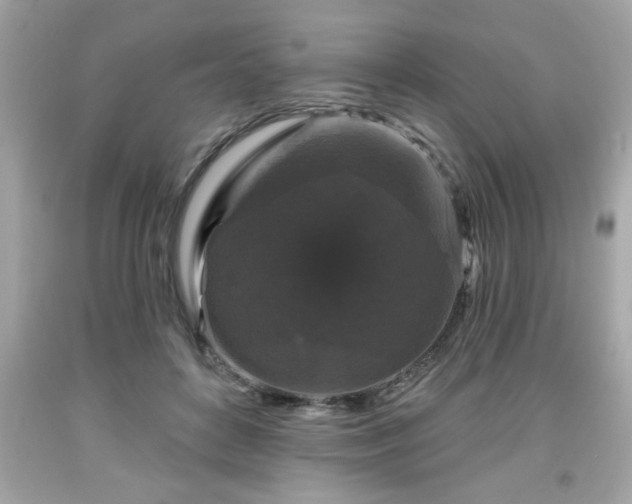 X0000091950504200709131207