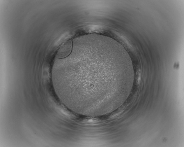 X0000091950506200709131207