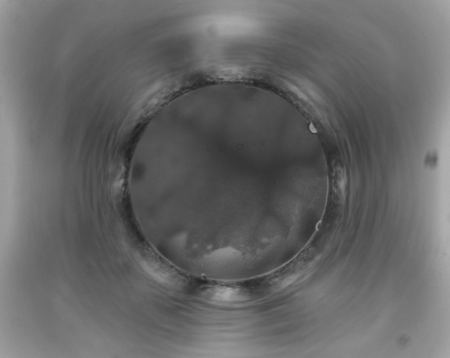 X0000091950507200709131207