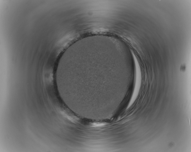 X0000091950508200709131207