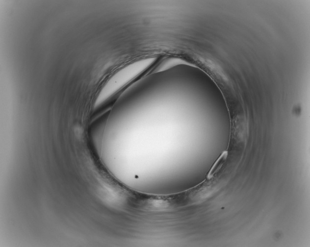 X0000091950509200709131207