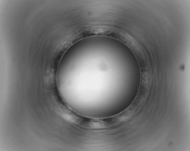 X0000091950510200709131207