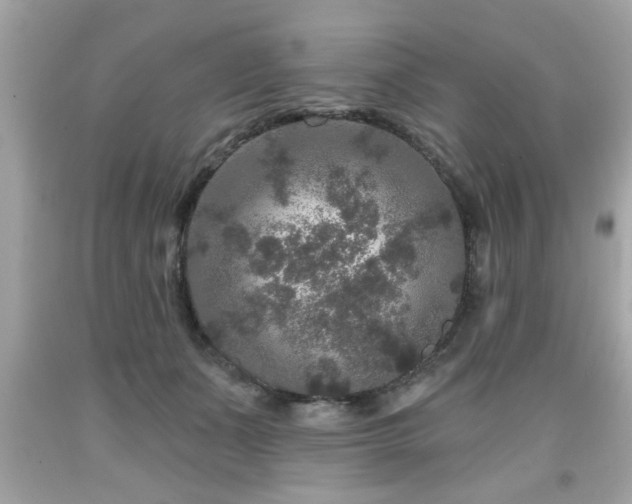 X0000091950511200709131207