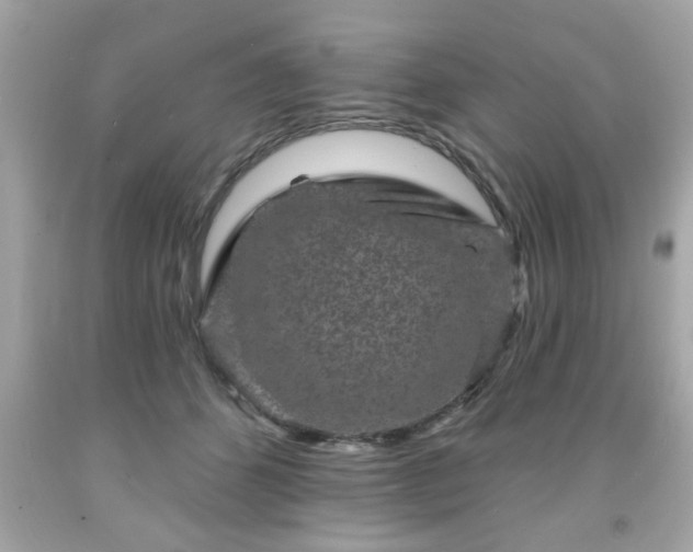 X0000091950512200709131207