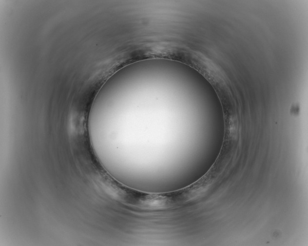 X0000091950514200709131206