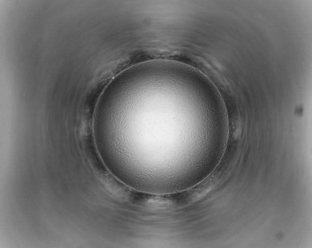 X0000091950515200709131206