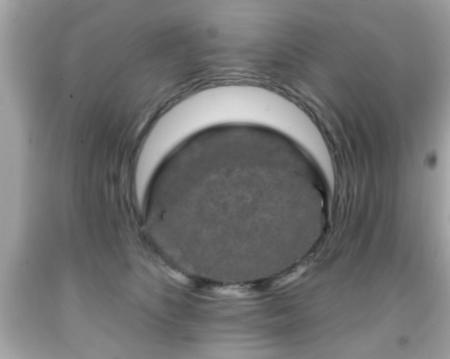 X0000091950516200709131206