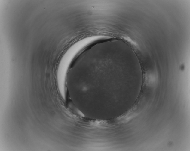 X0000091950517200709131206