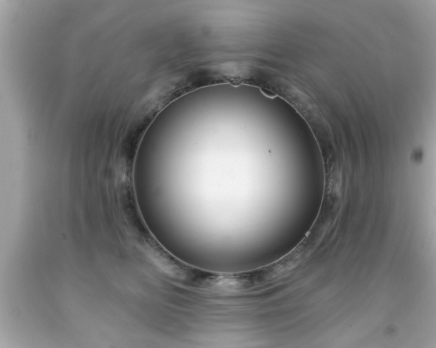 X0000091950518200709131206