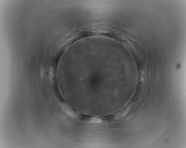 X0000091950519200709131206