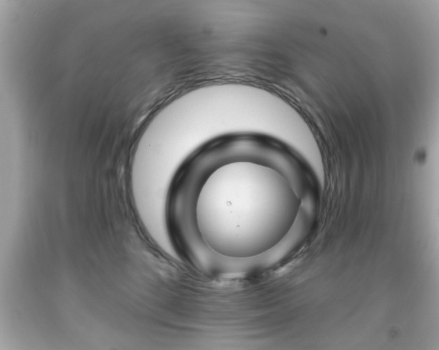 X0000091950520200709131206