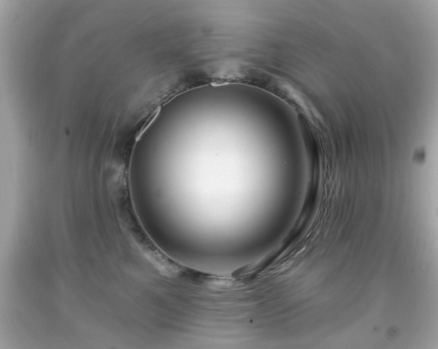 X0000091950521200709131206