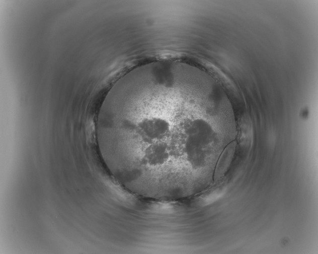 X0000091950523200709131206