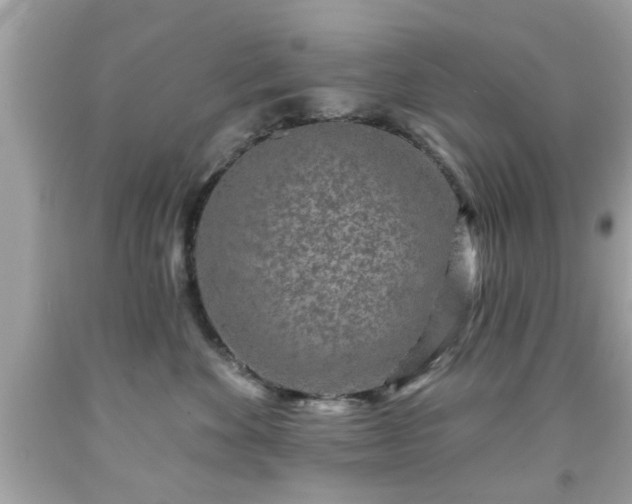 X0000091950524200709131206