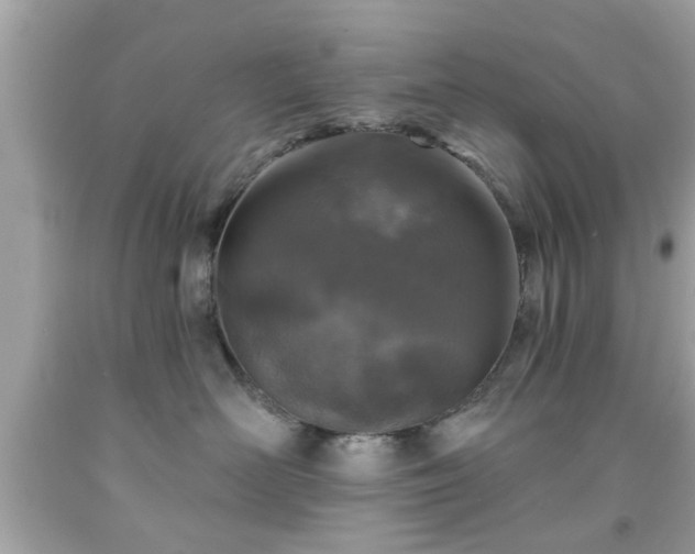 X0000091950526200709131206