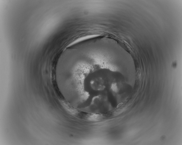 X0000091950527200709131206