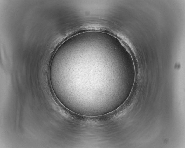 X0000091950529200709131206