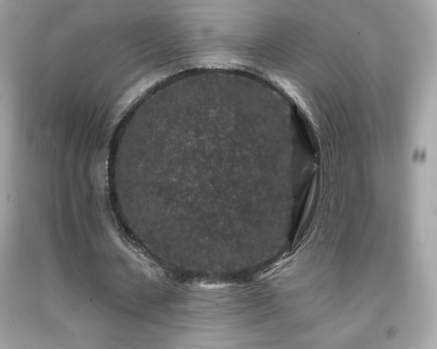 X0000091950531200709131206