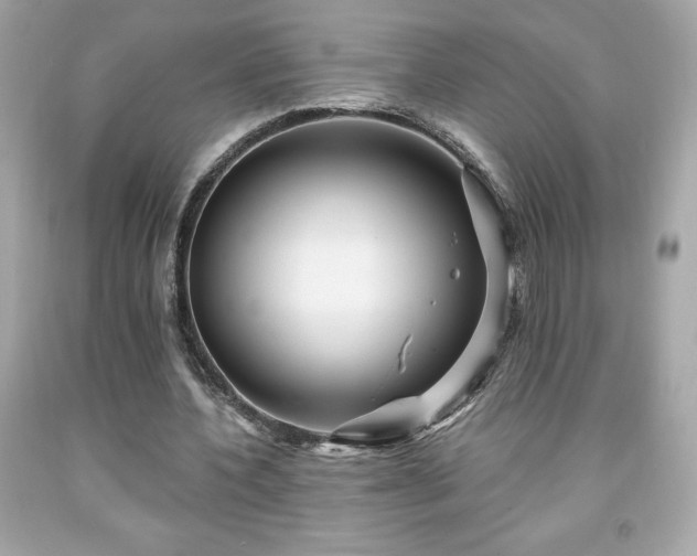 X0000091950532200709131206