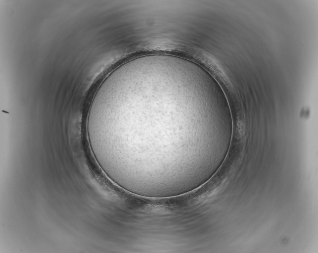 X0000091950534200709131206