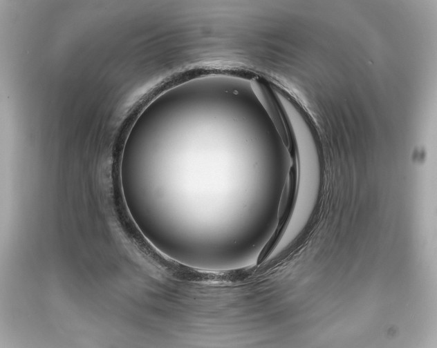 X0000091950535200709131206