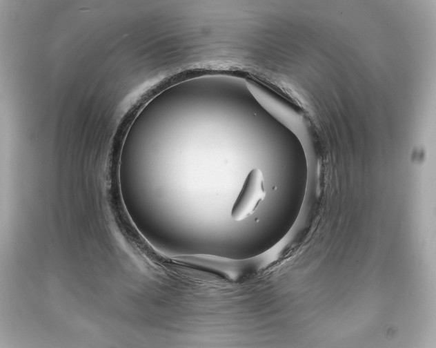 X0000091950536200709131206